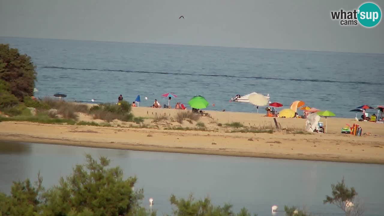 Webcam Chia – Live View of Su Giudeu Beach