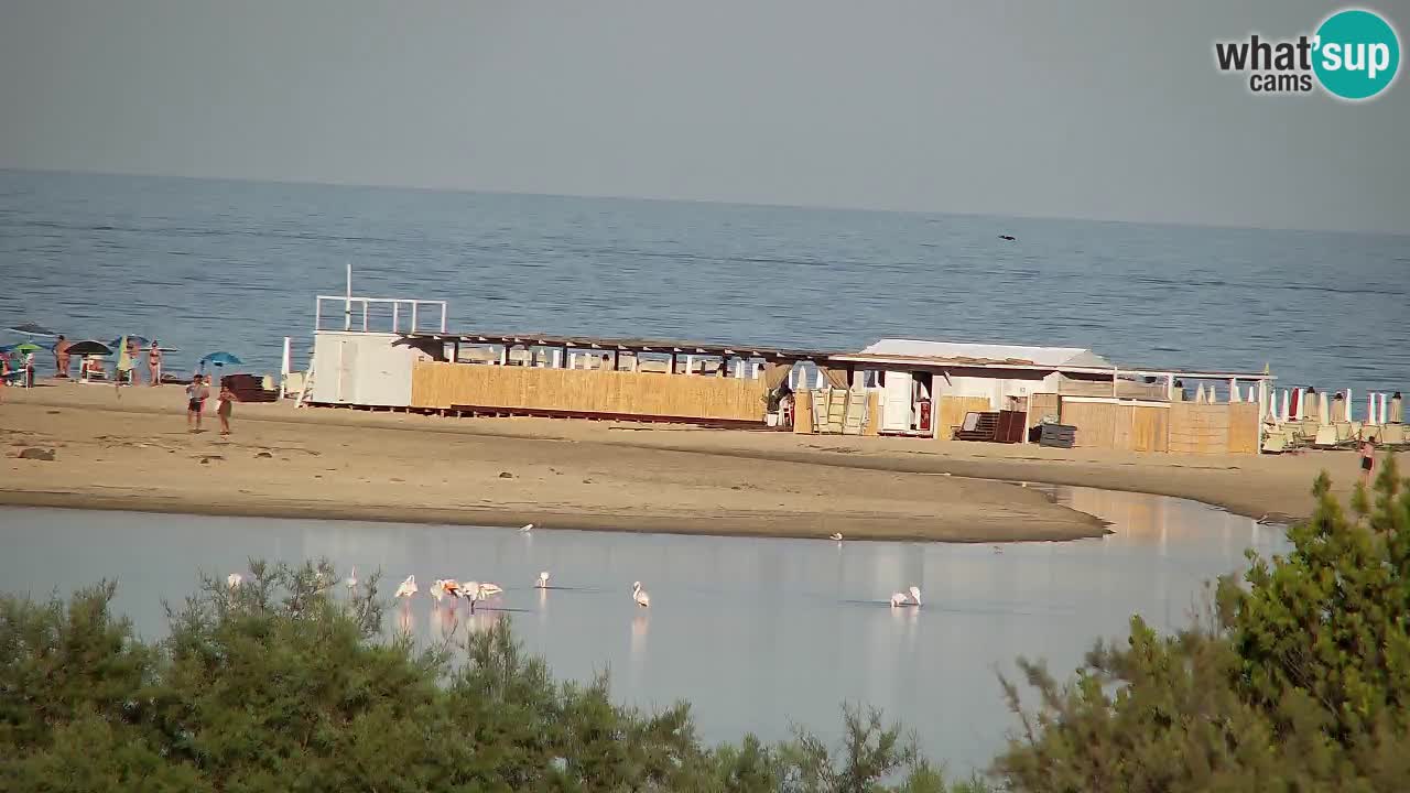 Web kamera Chia – Pogled uživo na plažu Su Giudeu