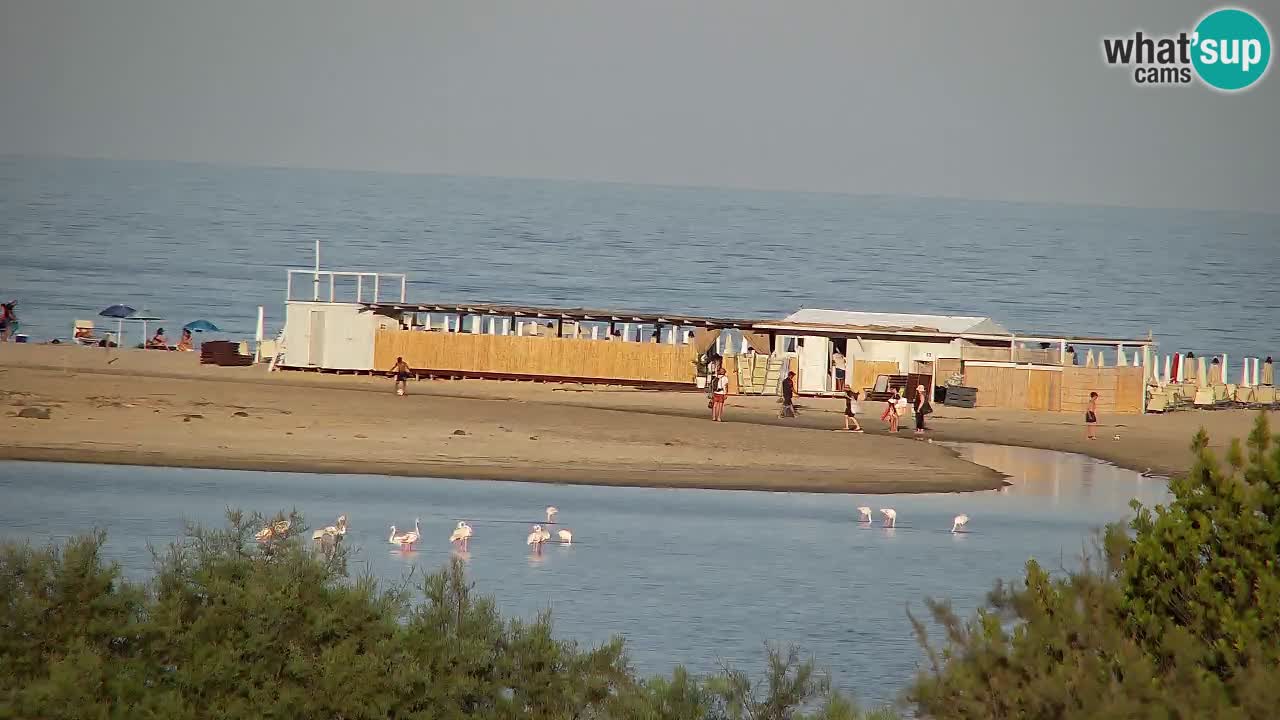Webcam Chia – Vista en directo de la playa Su Giudeu