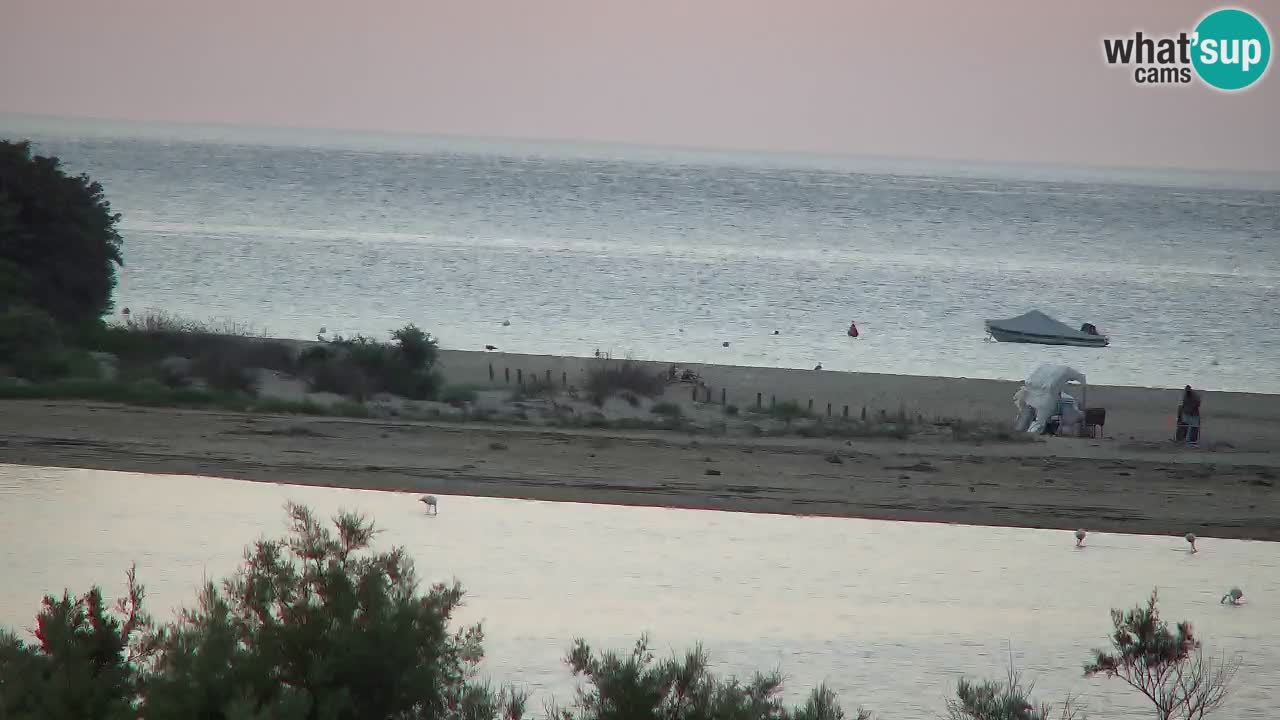 Webcam Chia – Live View of Su Giudeu Beach