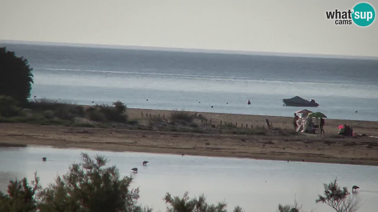 Webcam Chia – Vista en directo de la playa Su Giudeu