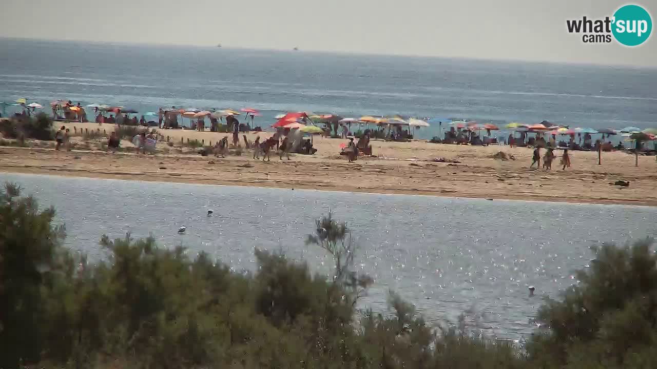 Webcam Chia – Liveblick auf den Strand Su Giudeu