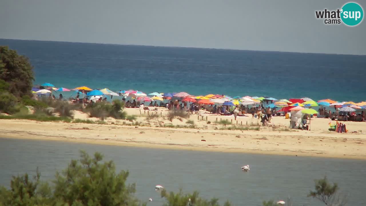 Webcam Chia – Live View of Su Giudeu Beach