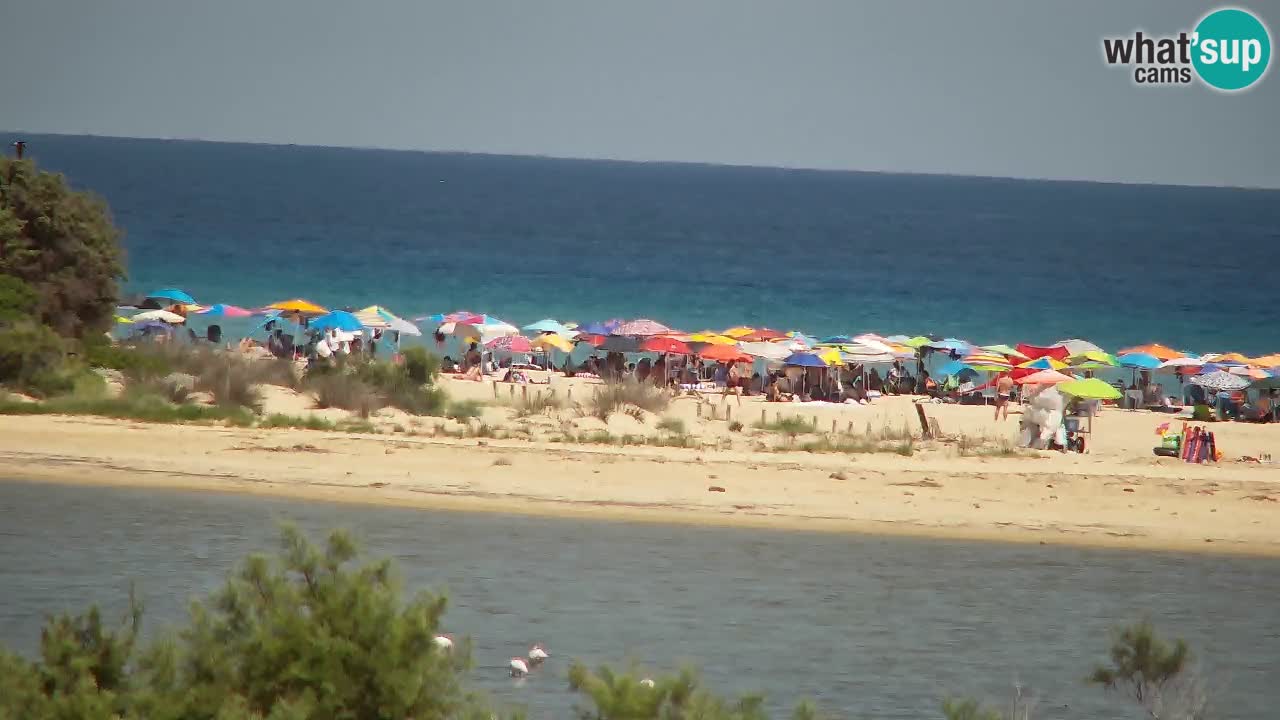 Spletna kamera Chia – Pogled v živo na plažo Su Giudeu