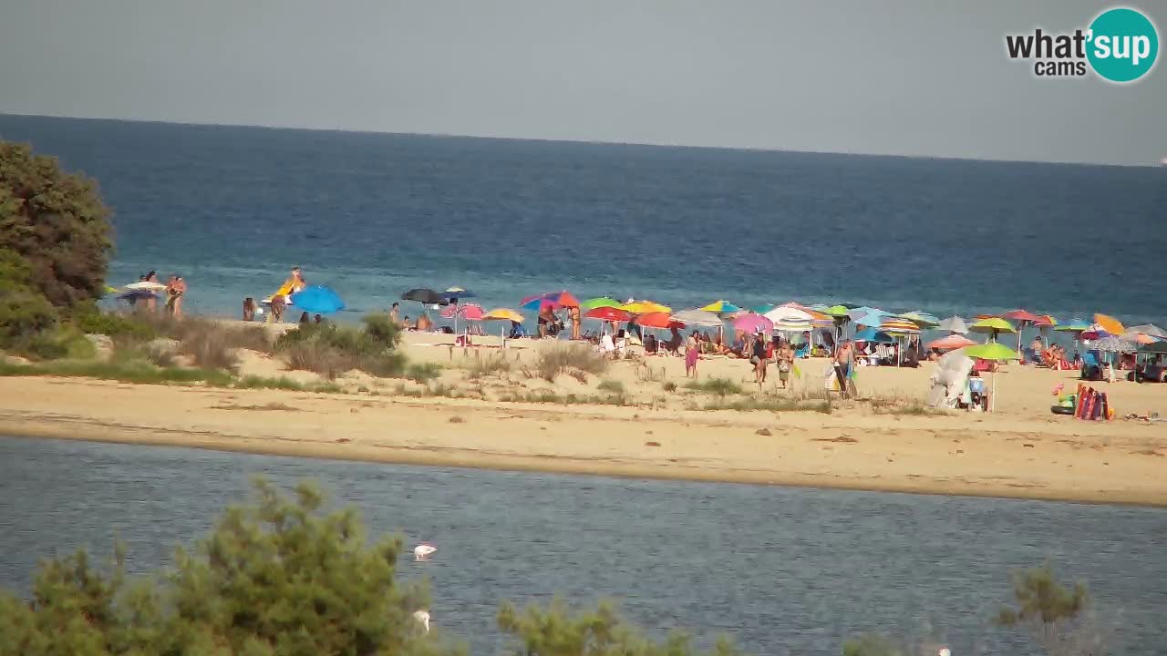 Webcam Chia – Live View of Su Giudeu Beach