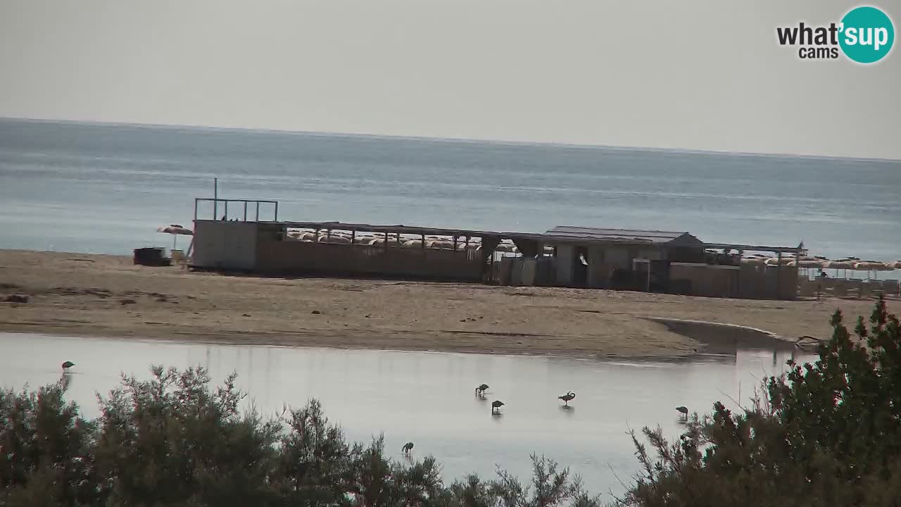 Webcam Chia – Liveblick auf den Strand Su Giudeu