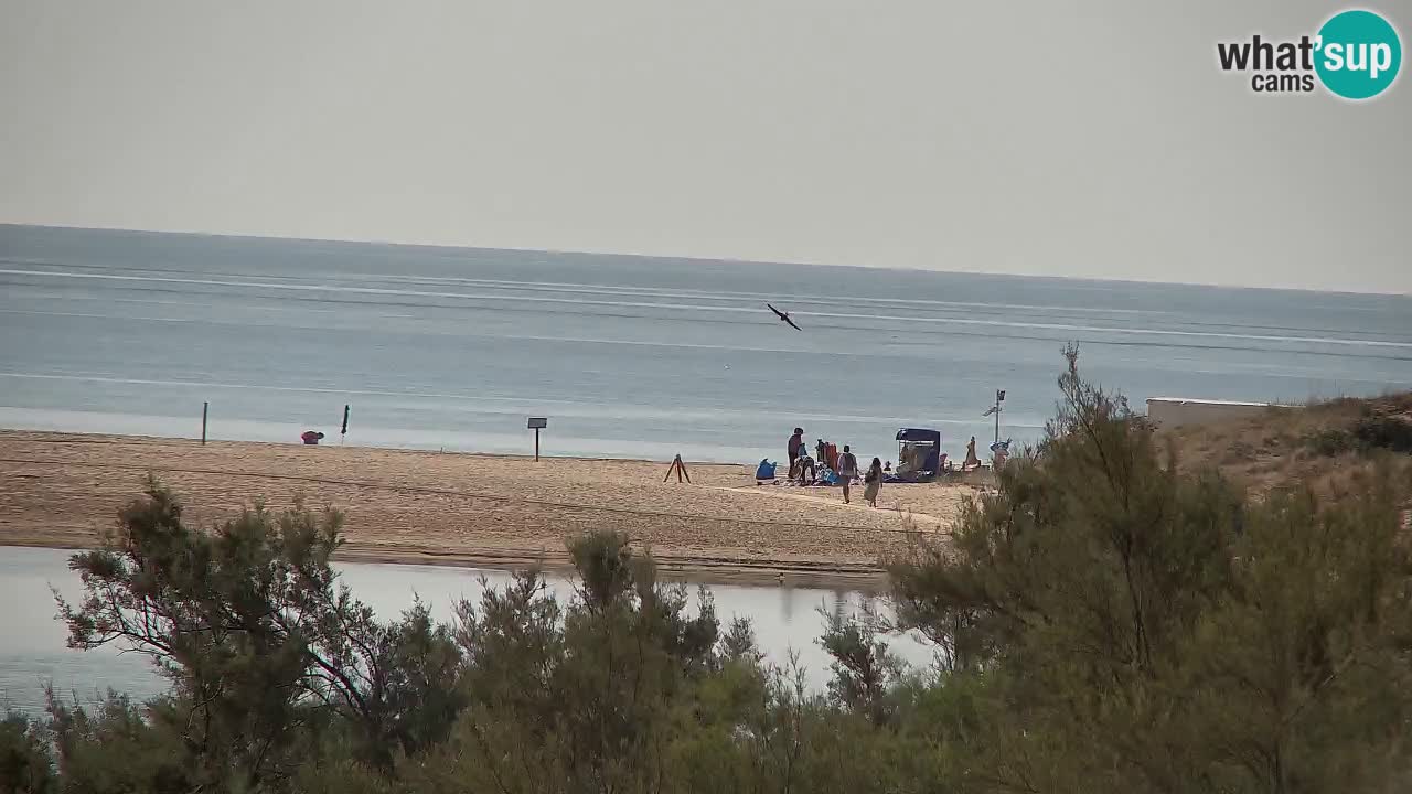 Webcam Chia – Vue en direct de la plage Su Giudeu