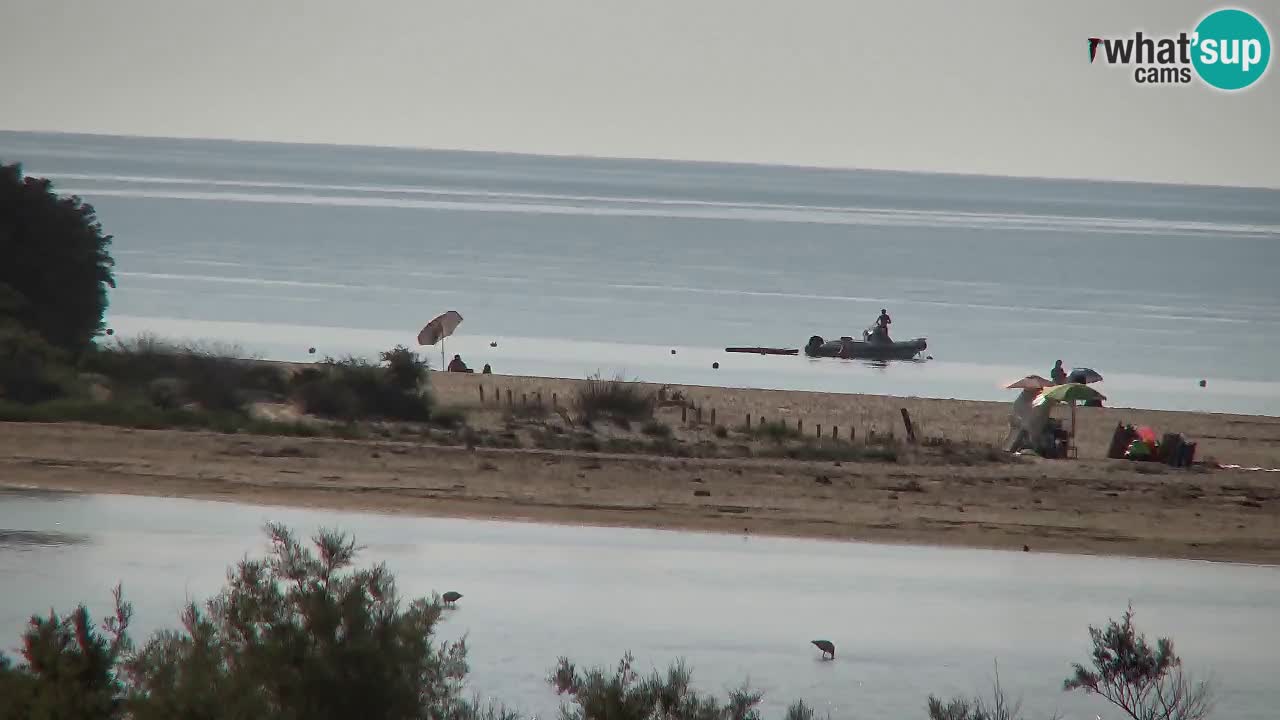 Webcam Chia – Vue en direct de la plage Su Giudeu