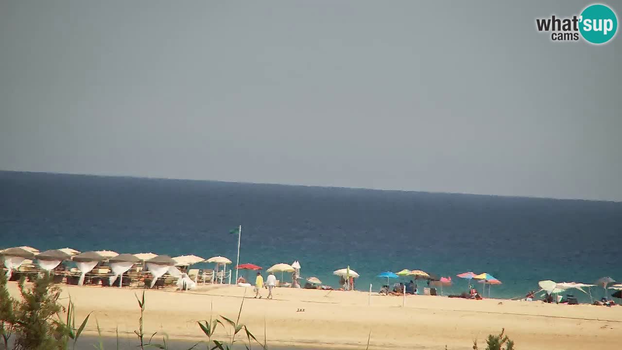 Webcam Chia – Live View of Su Giudeu Beach