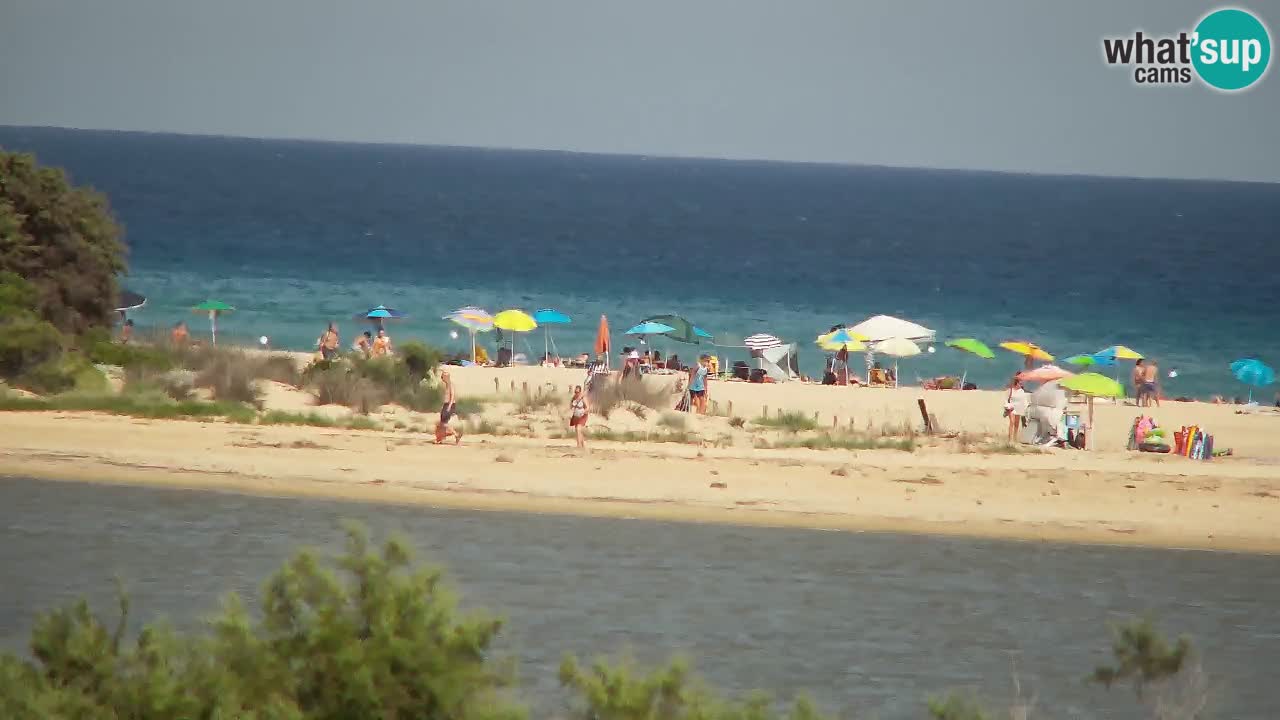 Webcam Chia – Live View of Su Giudeu Beach