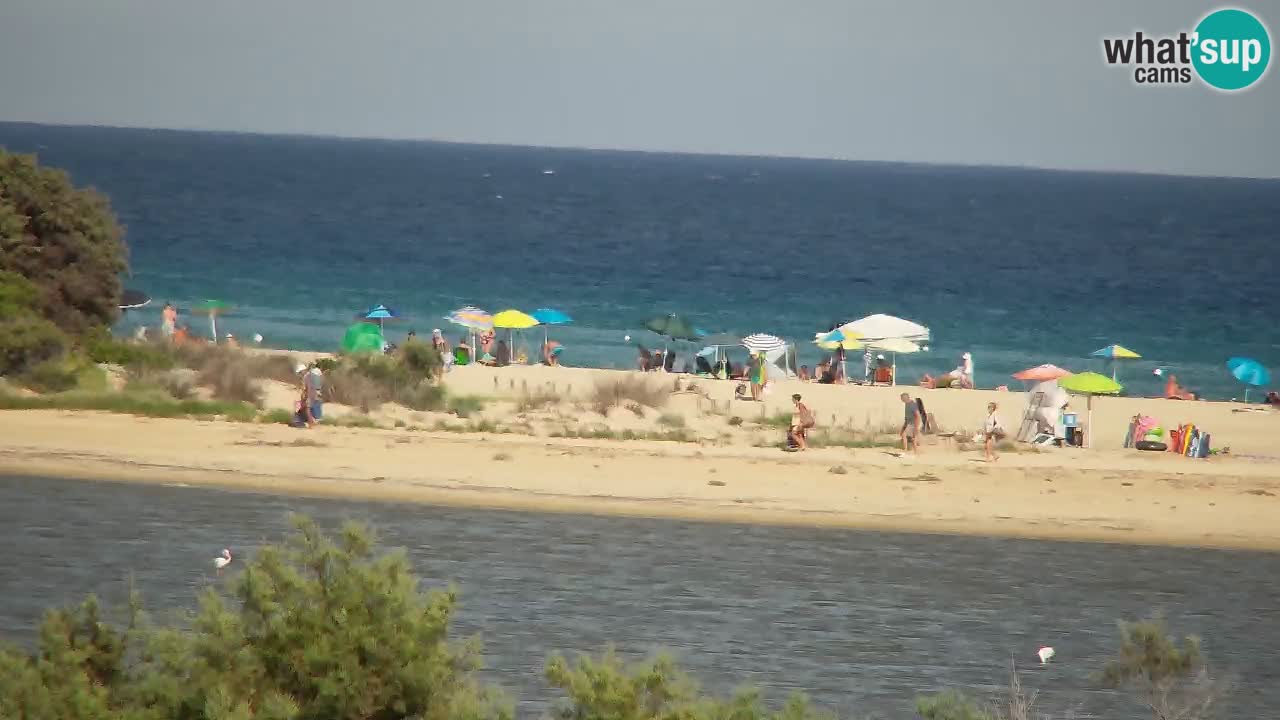 Webcam Chia – Vue en direct de la plage Su Giudeu