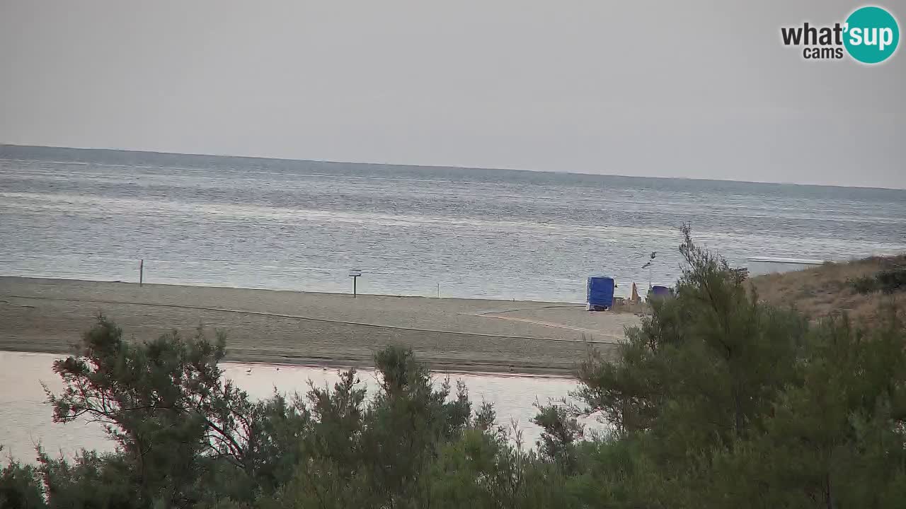 Webcam Chia – Live View of Su Giudeu Beach