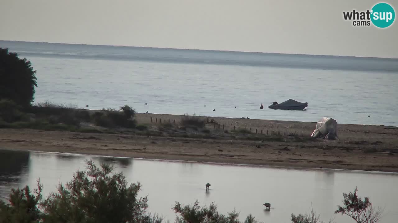 Web kamera Chia – Pogled uživo na plažu Su Giudeu