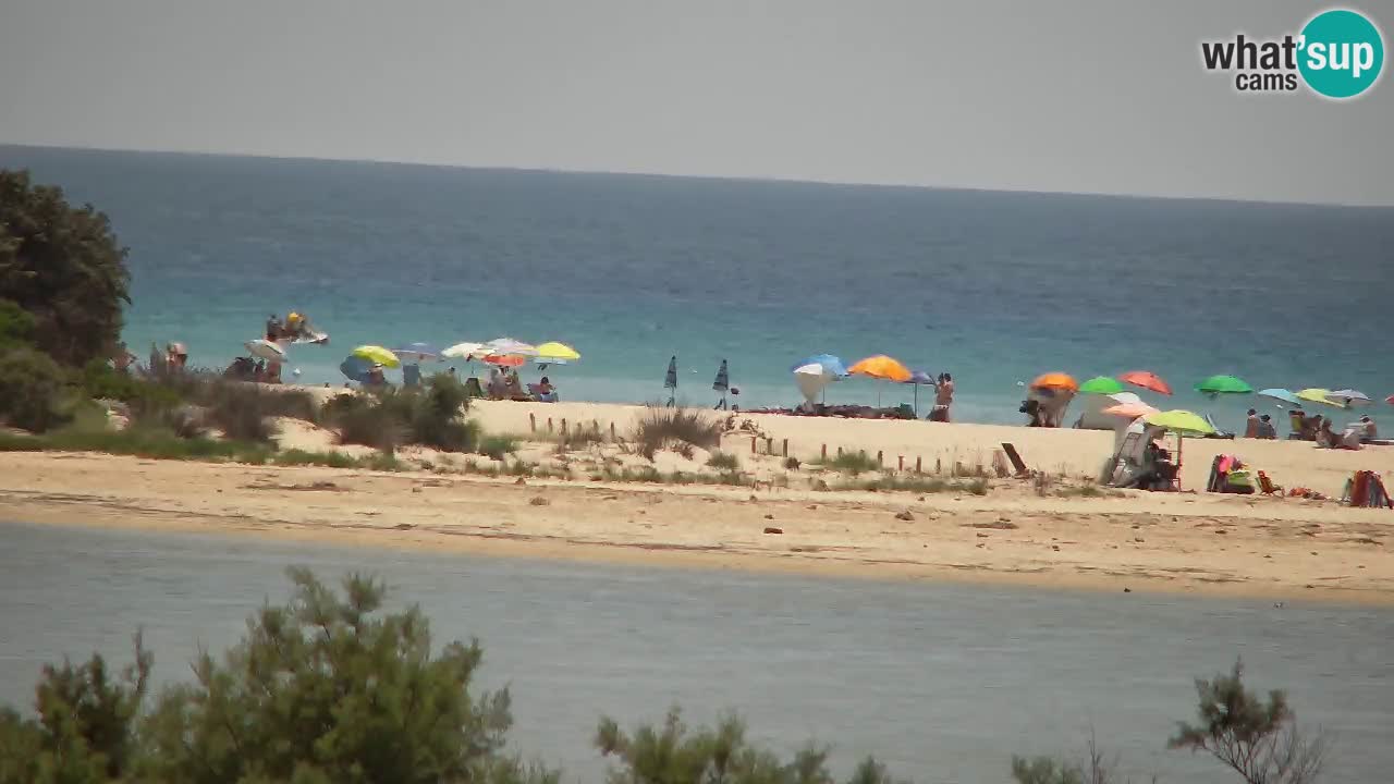 Webcam Chia – Live View of Su Giudeu Beach