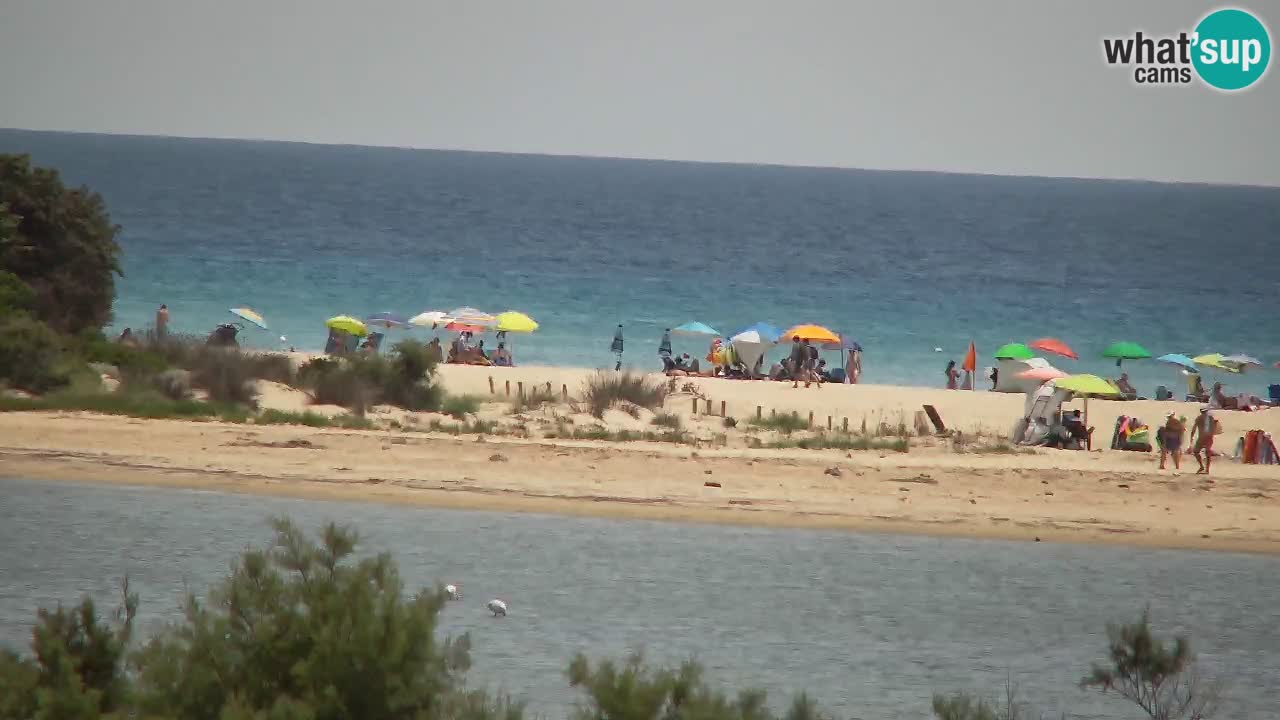 Webcam Chia – Live View of Su Giudeu Beach