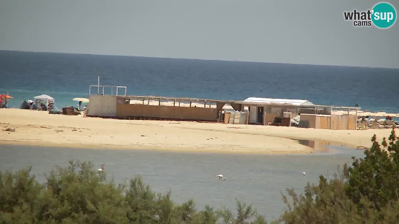 Webcam Chia – Live View of Su Giudeu Beach