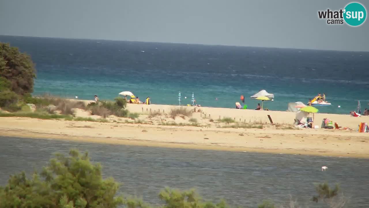 Spletna kamera Chia – Pogled v živo na plažo Su Giudeu