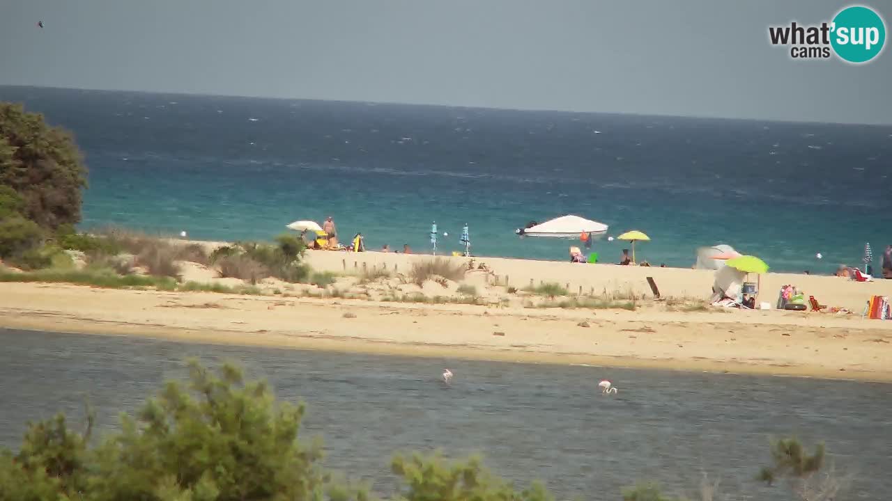 Webcam Chia – Live View of Su Giudeu Beach