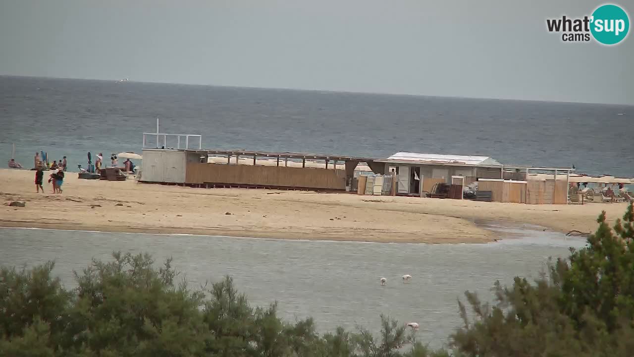 Webcam Chia – Live View of Su Giudeu Beach