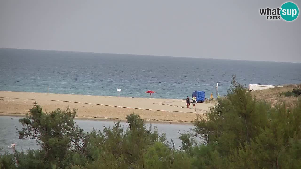 Webcam Chia – Live View of Su Giudeu Beach