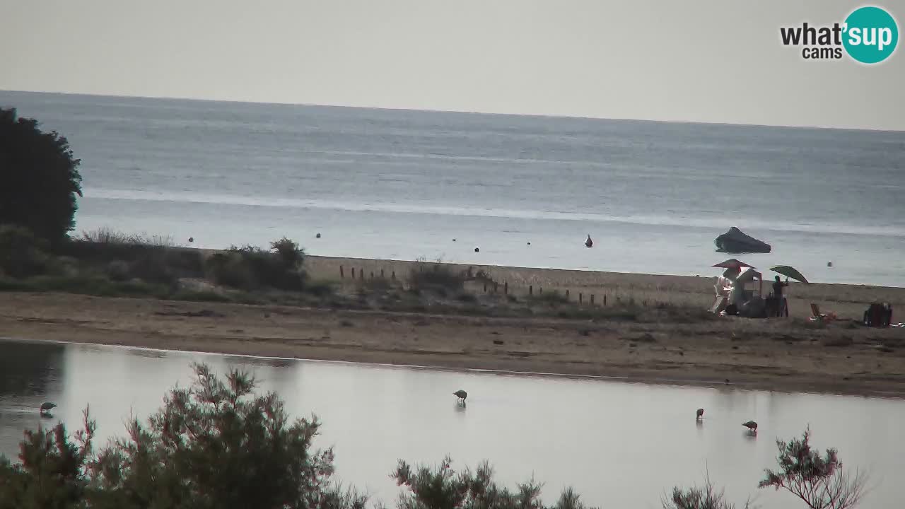 Webcam Chia – Live View of Su Giudeu Beach