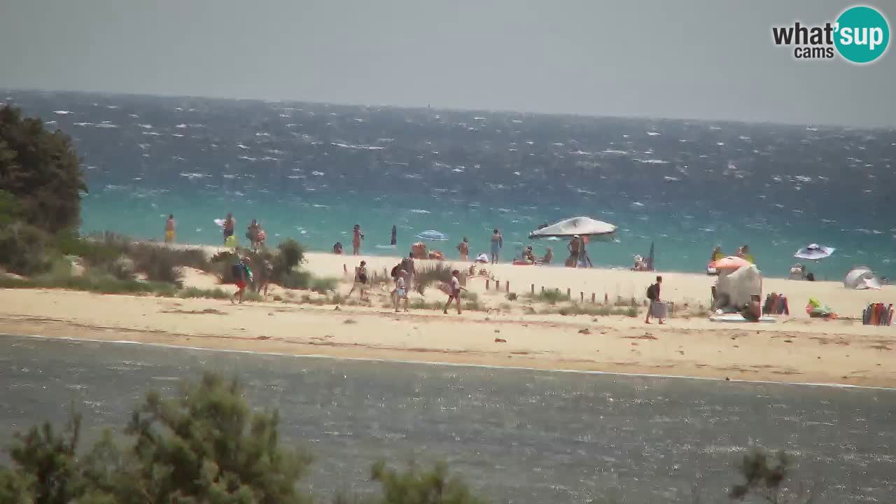 Webcam Chia – Vue en direct de la plage Su Giudeu