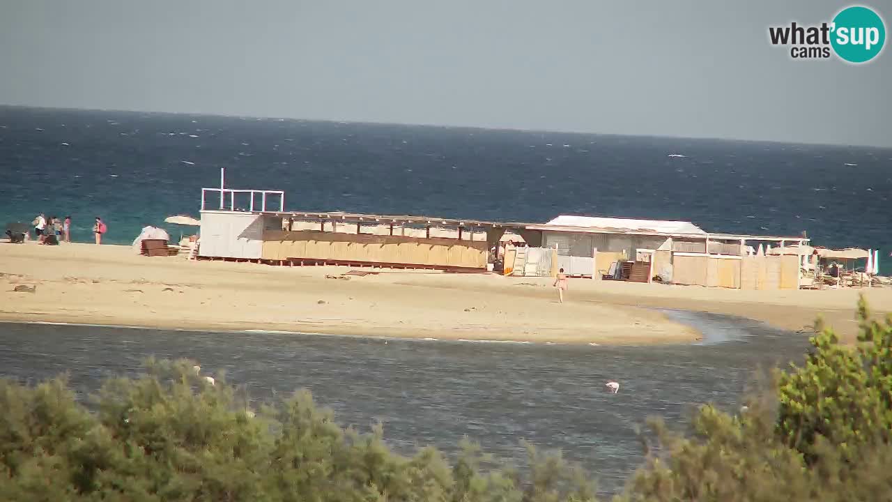 Webcam Chia – Live View of Su Giudeu Beach
