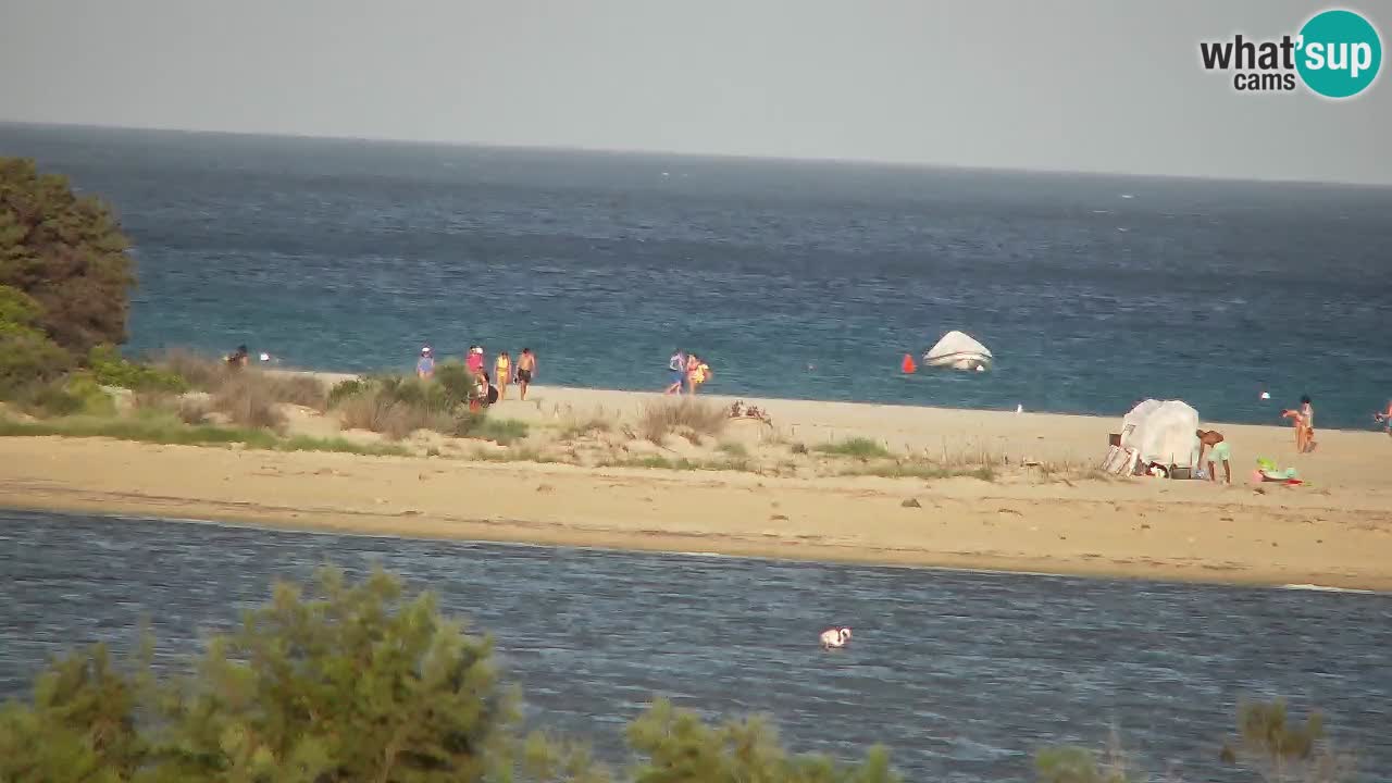 Webcam Chia – Vue en direct de la plage Su Giudeu