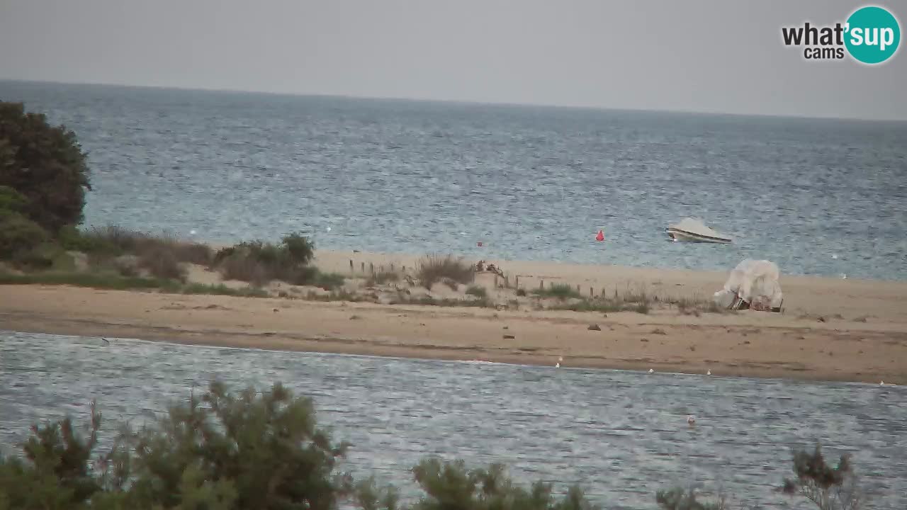 Webcam Chia – Live View of Su Giudeu Beach