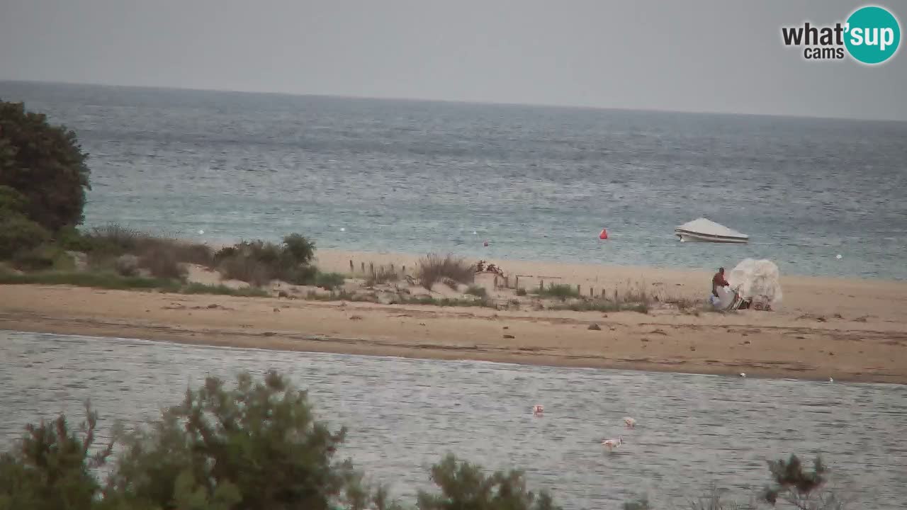 Webcam Chia – Liveblick auf den Strand Su Giudeu