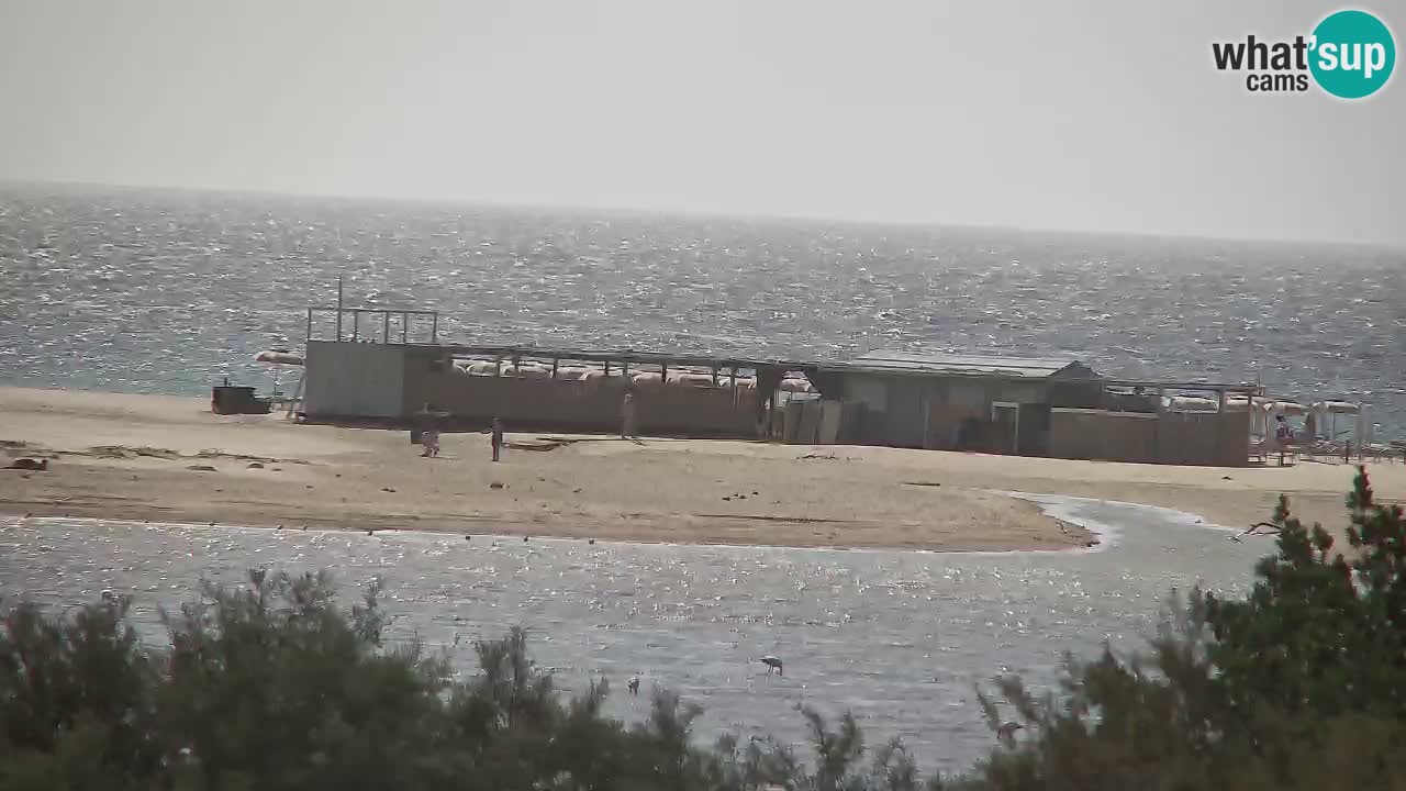 Webcam Chia – Live View of Su Giudeu Beach