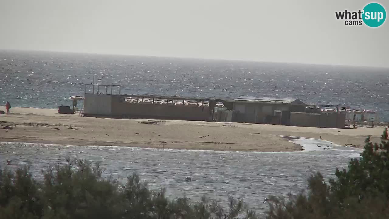 Webcam Chia – Live View of Su Giudeu Beach
