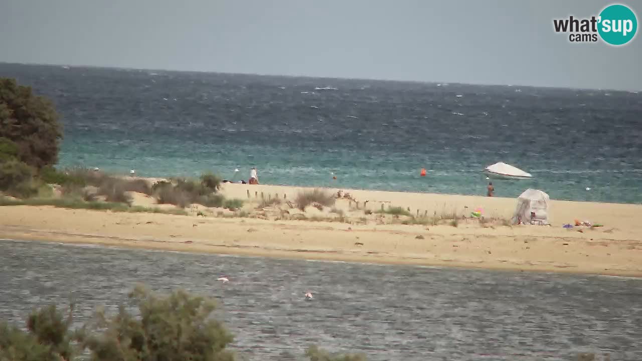 Webcam Chia – Spiaggia Su Giudeu in diretta