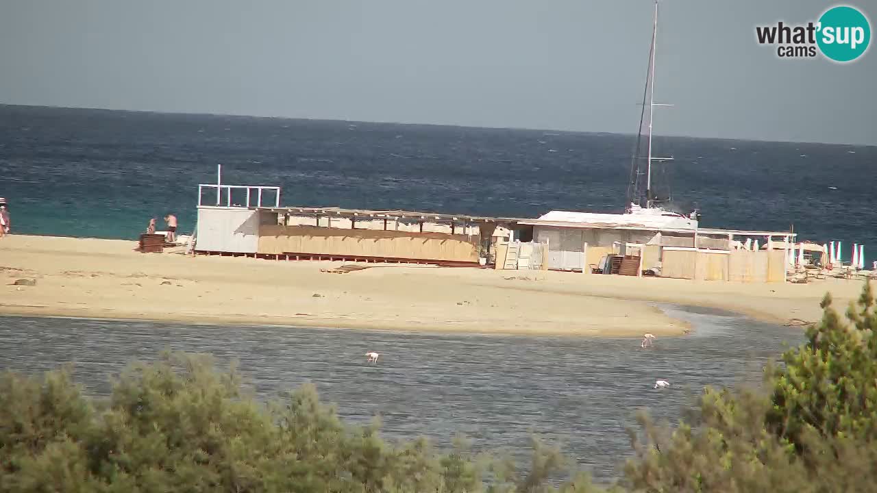Webcam Chia – Vista en directo de la playa Su Giudeu