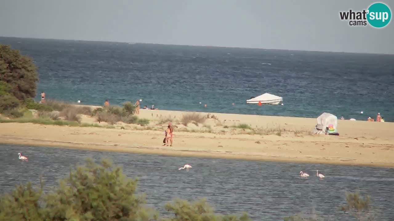 Webcam Chia – Spiaggia Su Giudeu in diretta