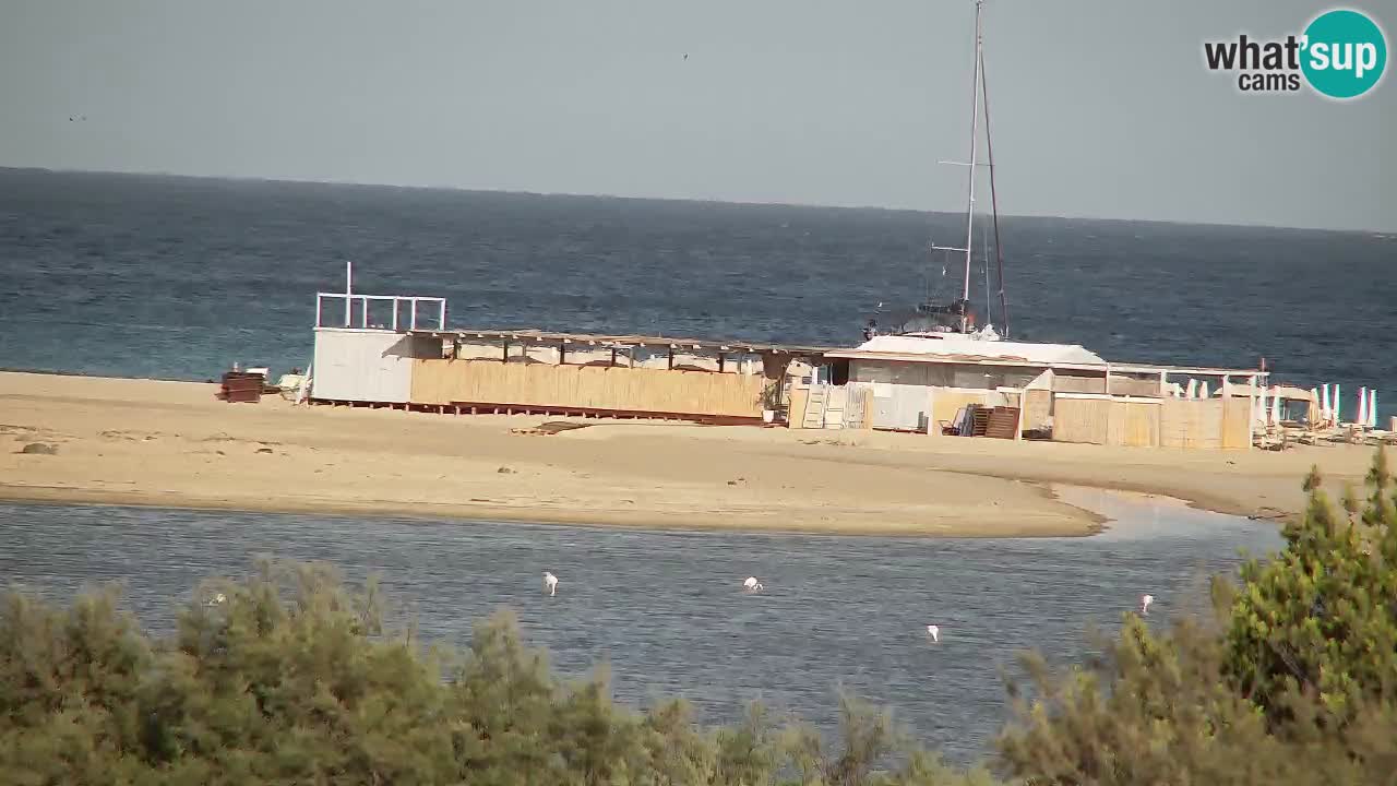 Webcam Chia – Live View of Su Giudeu Beach