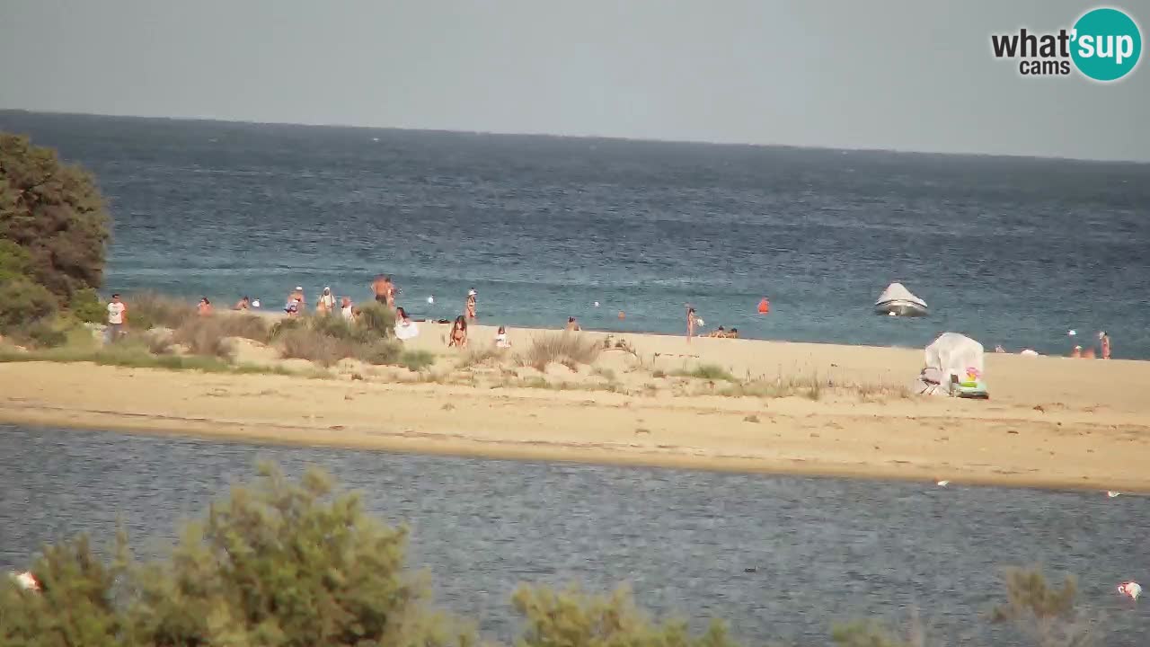 Webcam Chia – Live View of Su Giudeu Beach