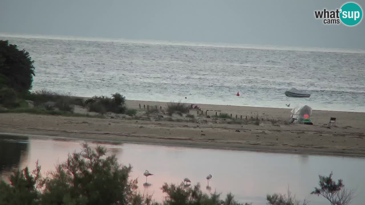 Webcam Chia – Live View of Su Giudeu Beach