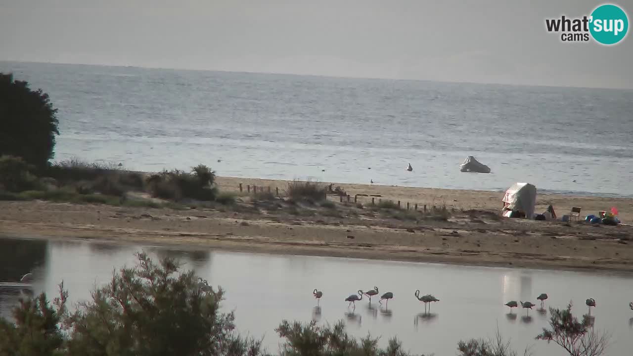 Webcam Chia – Vue en direct de la plage Su Giudeu