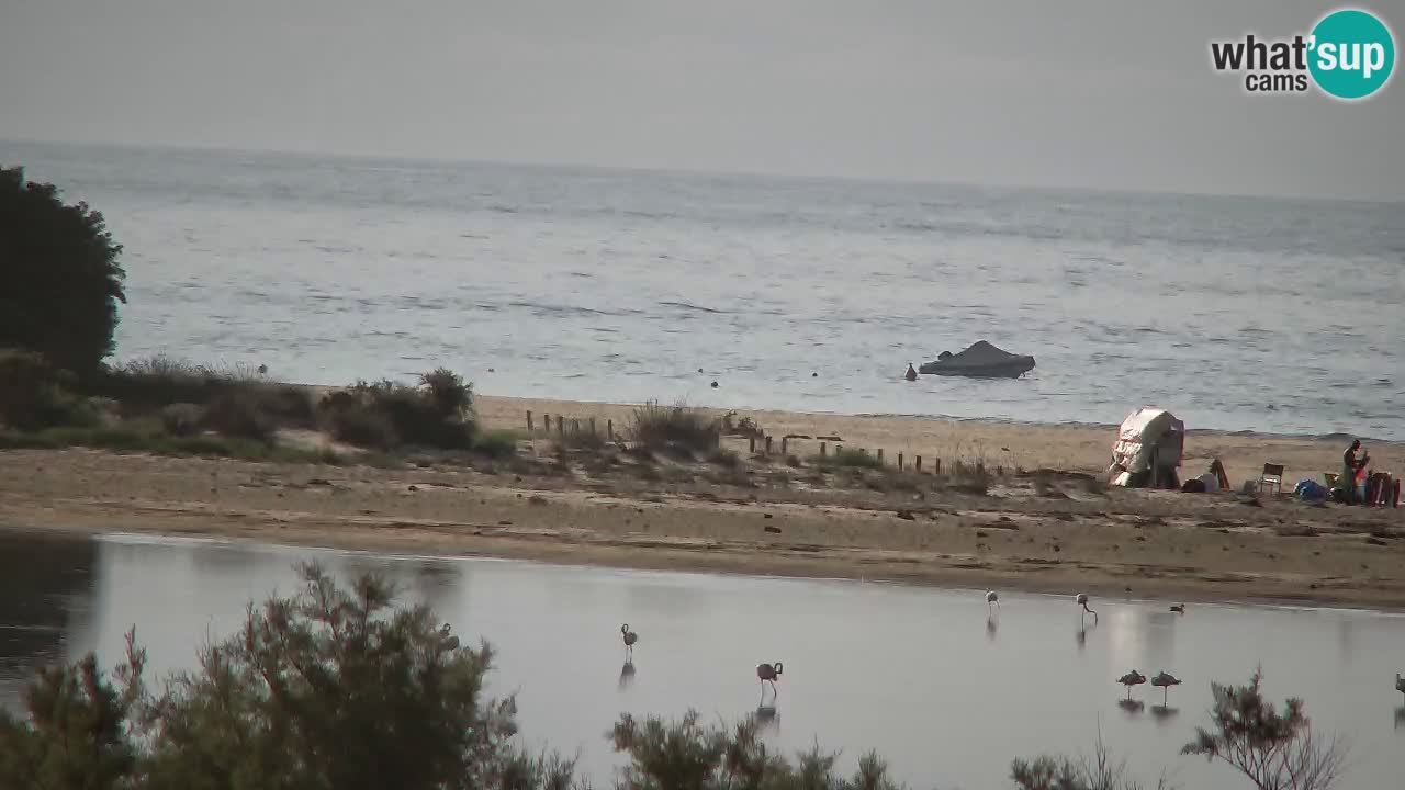 Webcam Chia – Live View of Su Giudeu Beach