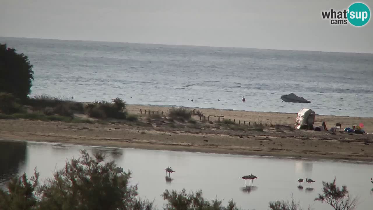 Webcam Chia – Vue en direct de la plage Su Giudeu
