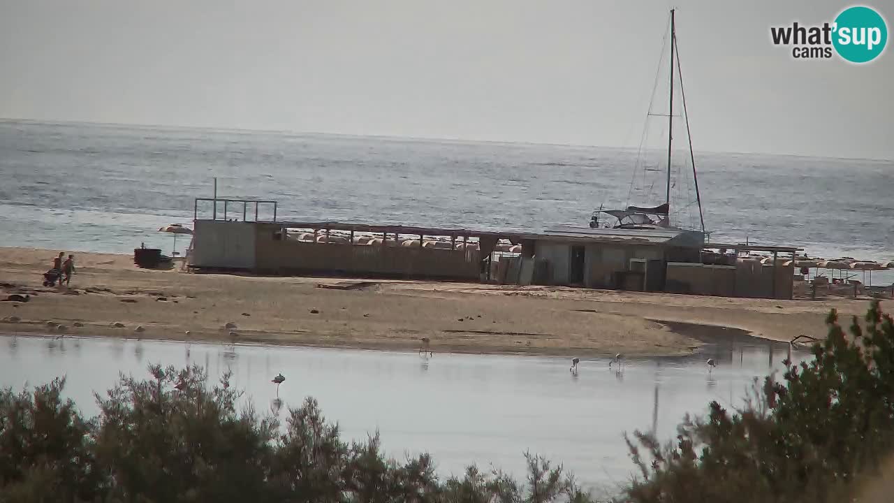 Webcam Chia – Vue en direct de la plage Su Giudeu