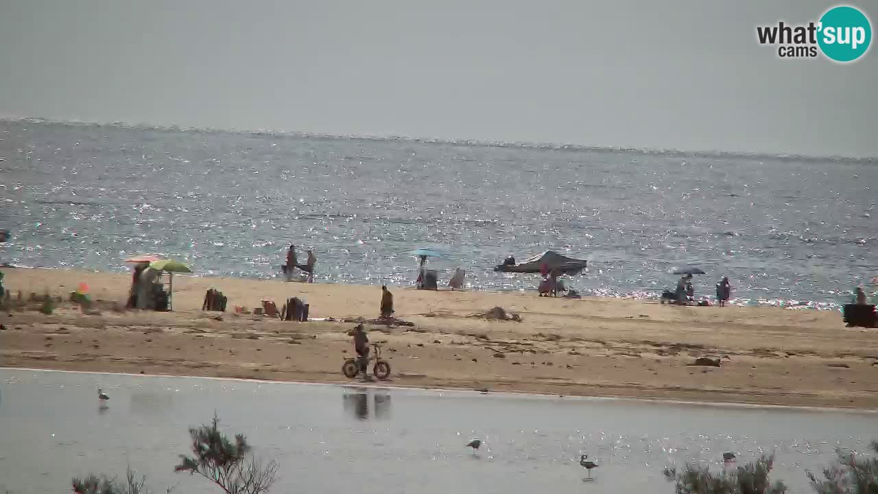 Webcam Chia – Live View of Su Giudeu Beach