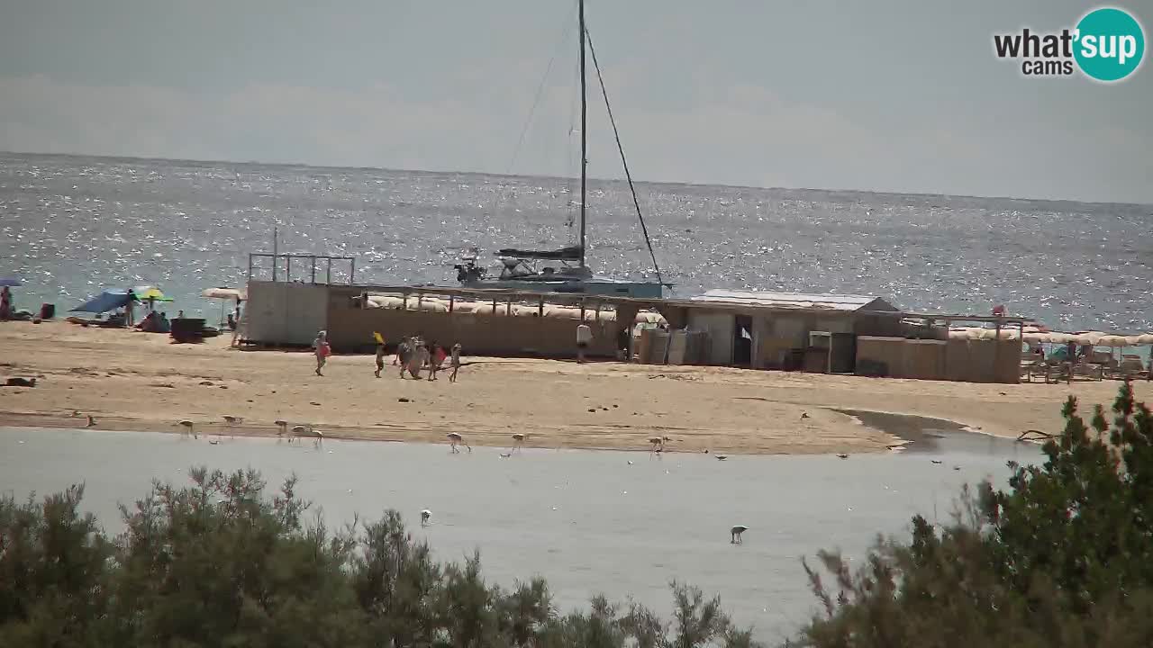 Webcam Chia – Live View of Su Giudeu Beach
