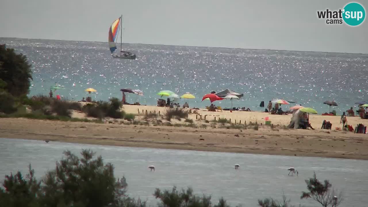 Webcam Chia – Live View of Su Giudeu Beach