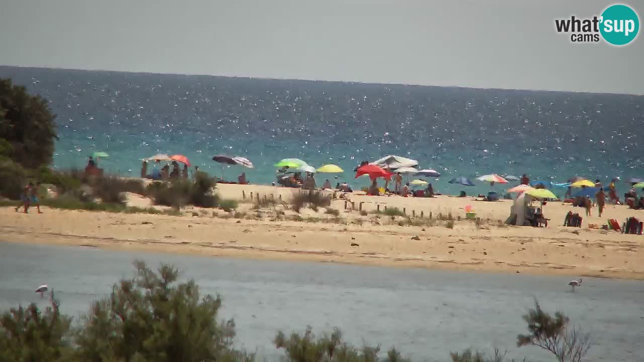 Webcam Chia – Liveblick auf den Strand Su Giudeu