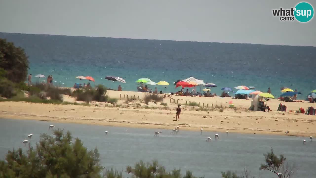 Webcam Chia – Live View of Su Giudeu Beach