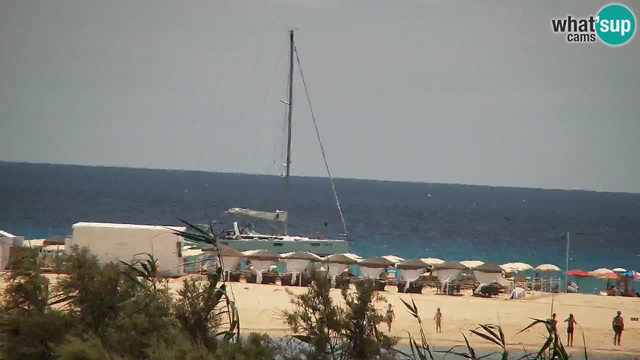 Webcam Chia – Live View of Su Giudeu Beach