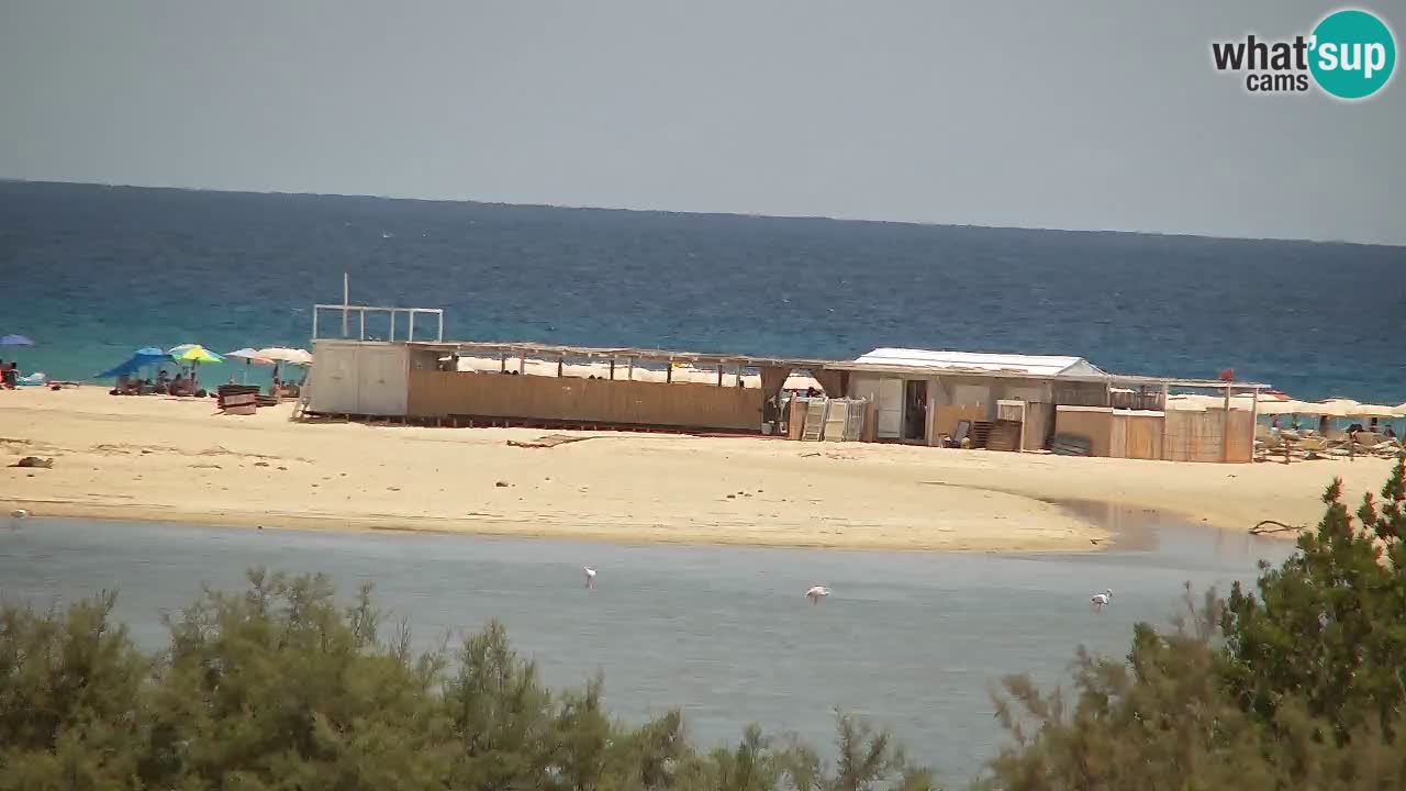 Webcam Chia – Live View of Su Giudeu Beach