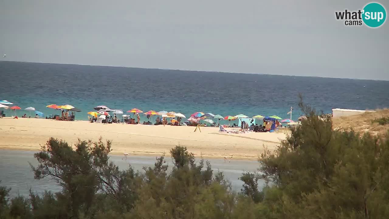 Webcam Chia – Live View of Su Giudeu Beach